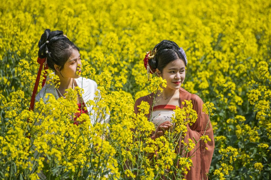 尼康70-300镜头对焦不清楚怎么办,尼康70-300不带防抖镜头怎么样