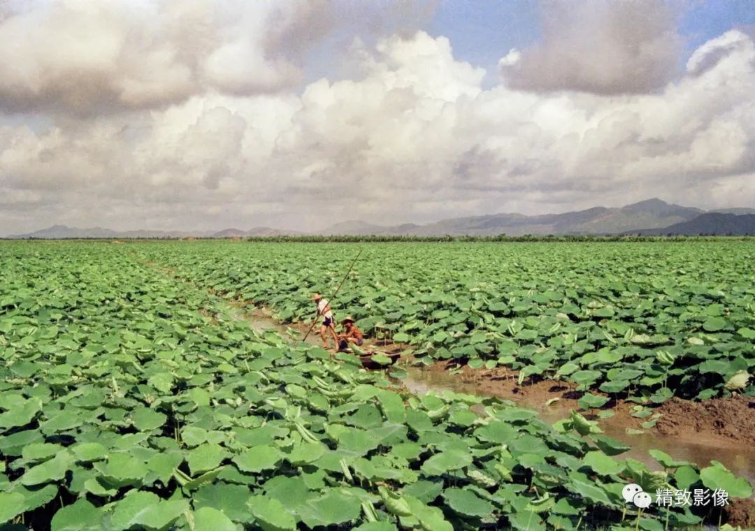 拾光汇影|第六期·珠海斗门白藤湖