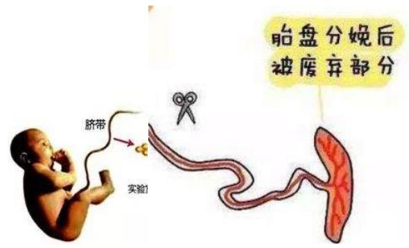宝宝顺产出生的过程,剖腹产的小孩比顺产的小孩胆小吗