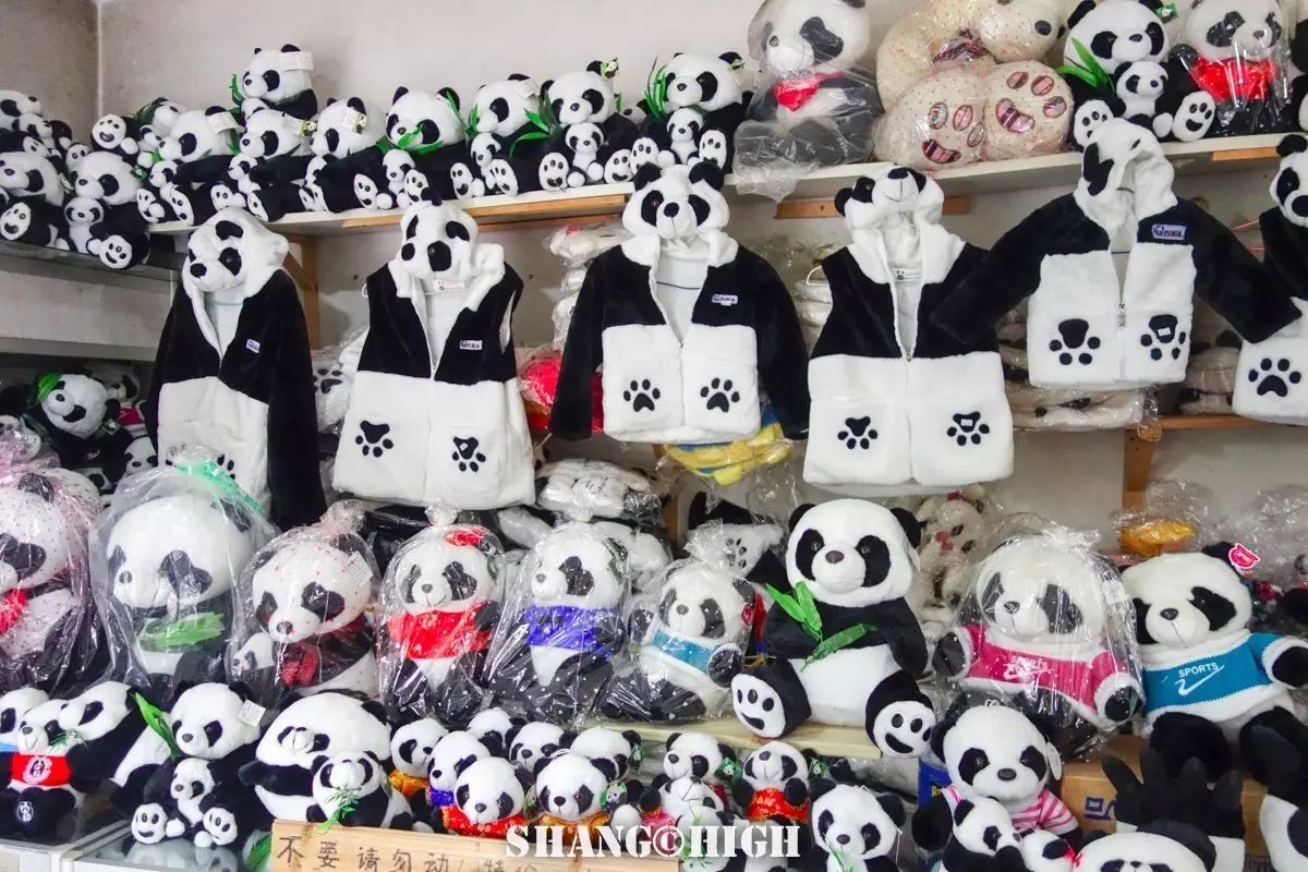 记者探访广州动物园,动物园观察动物