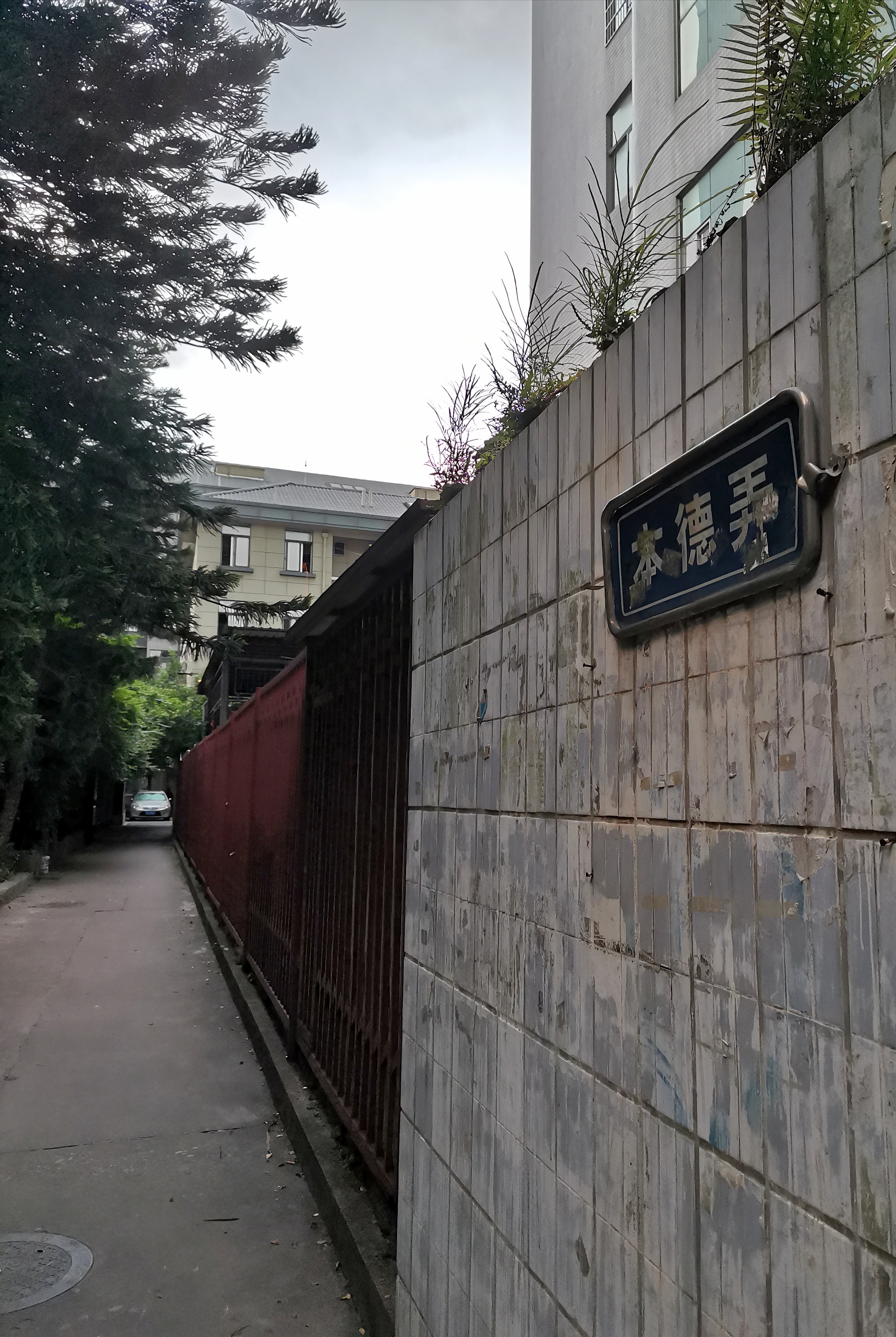 福建情结,福建人的家族情结