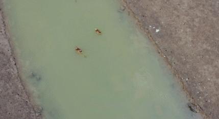 青岛国家海洋公园免费,海洋公园青岛最新