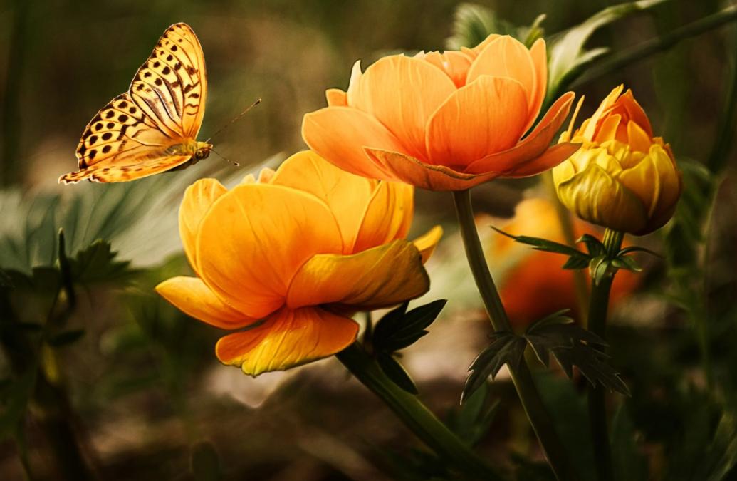 难相处的婆婆调解,有个高情商的婆婆如何相处