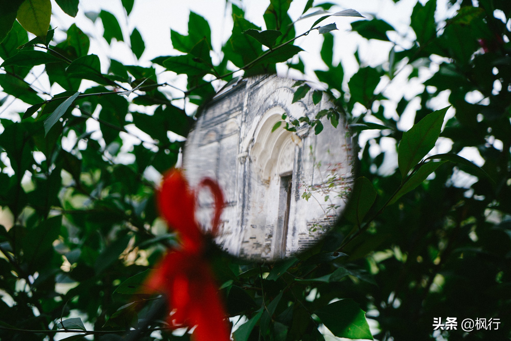 桂林阳朔旅游攻略一天半,最详细桂林阳朔旅游攻略