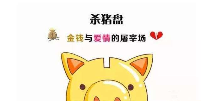 杀猪盘温柔刀诈骗案例,杀猪盘之温柔陷阱