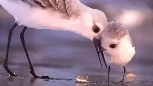 害怕恐惧的唯一办法就是面对恐惧,害怕并不丢人直面恐惧