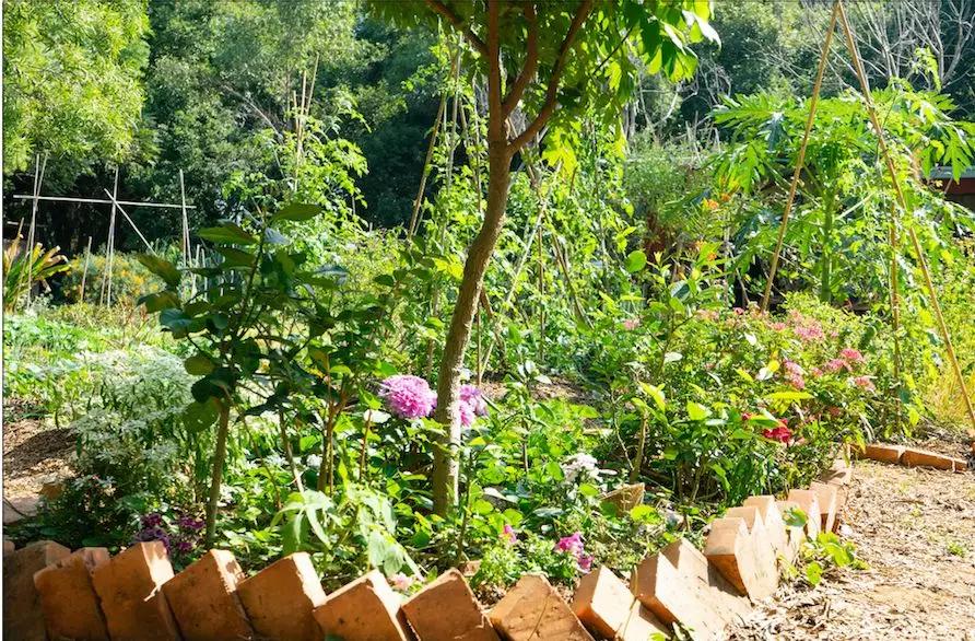 一对夫妻的零浪费生活,自制牙膏洗发水