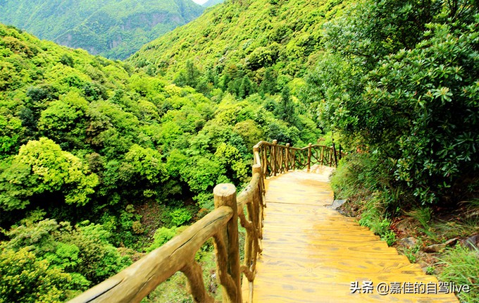 云顶山一日游记,福建云顶山旅游攻略
