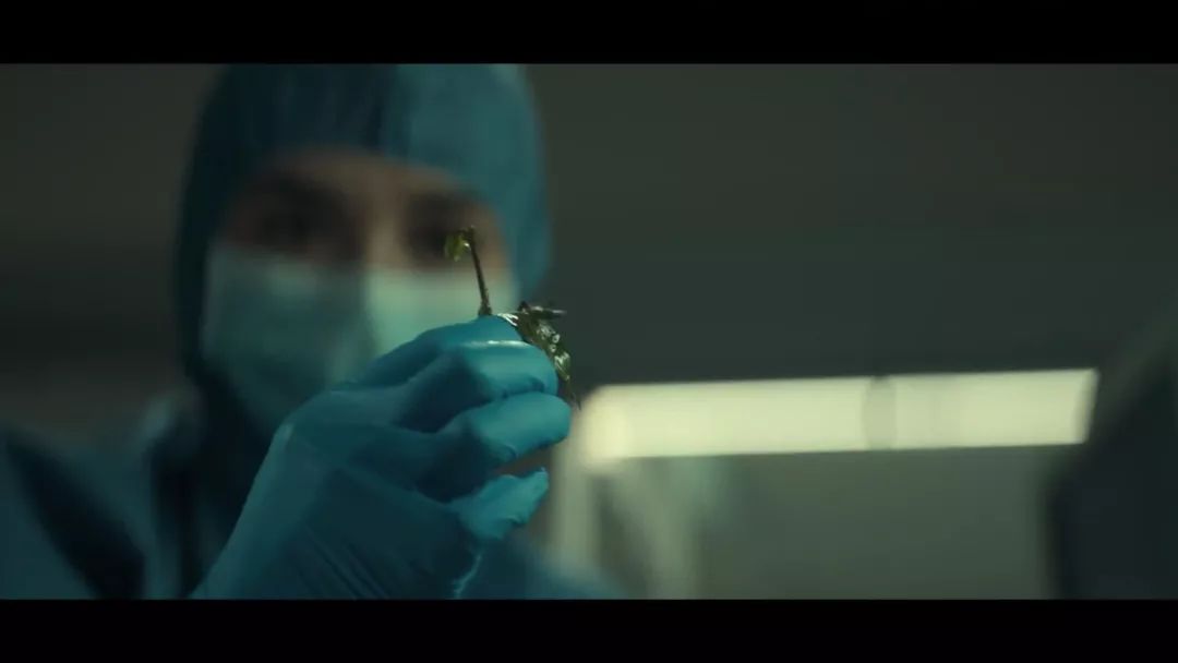 温子仁新剧一集就被砍，华纳是要搞死DC？