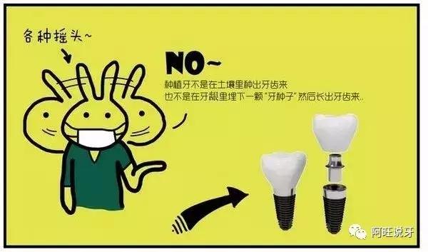 种植牙图片漫画,3d动画2分钟全面了解种植牙全过程