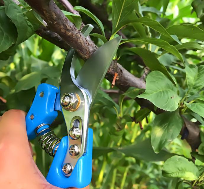 以满足农户需求为己任喜达利园林工具成为农友好帮手