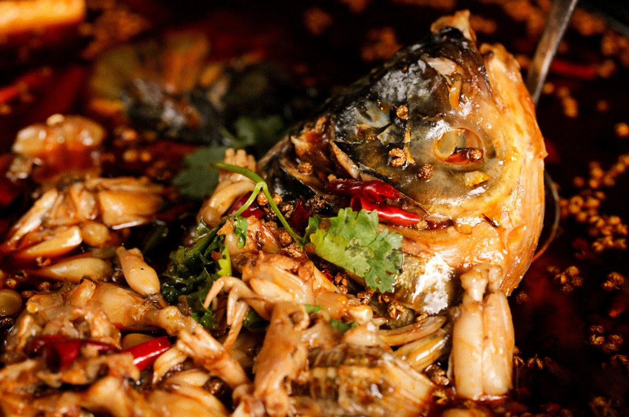 猫不吃水煮三文鱼,猫不吃巴沙鱼