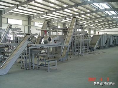 湖南十八洞黄金茶,十八洞黄金茶属于什么茶