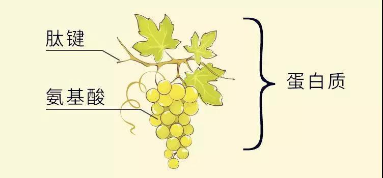 加速女人衰老的5个原因,加快女性衰老的3种原因