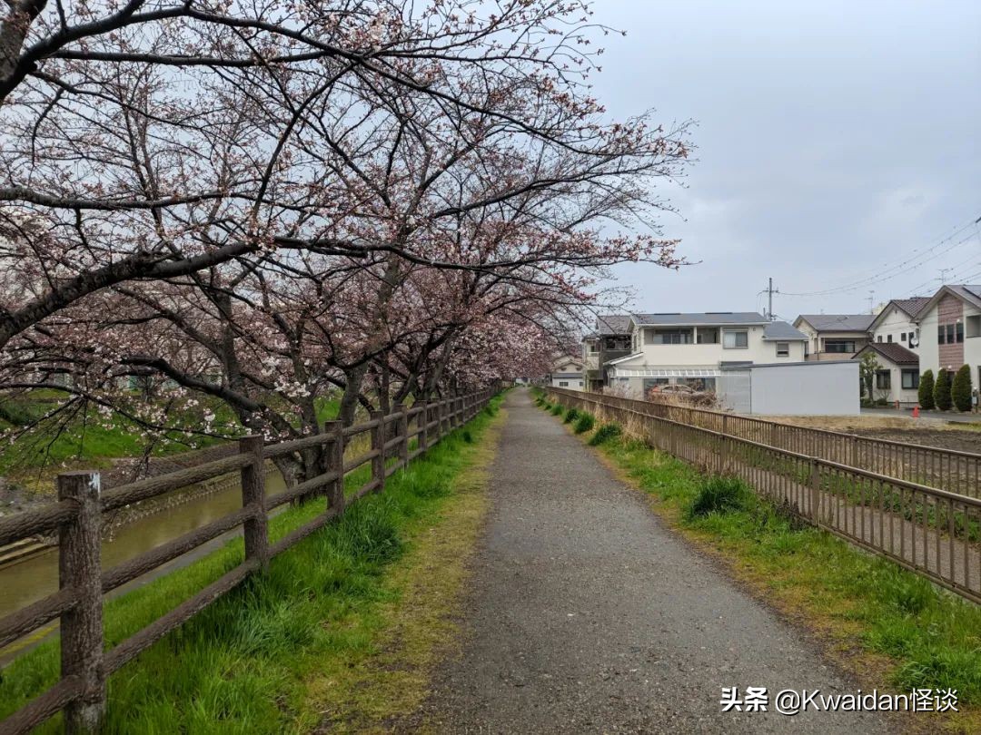 2012年4月日本关西五日游记,流水账式旅行vlog济州
