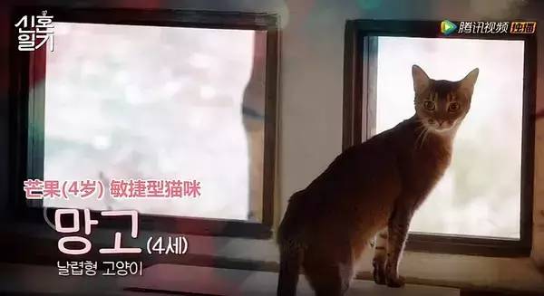 李现和杨紫的cp超话,比杨紫小的明星cp