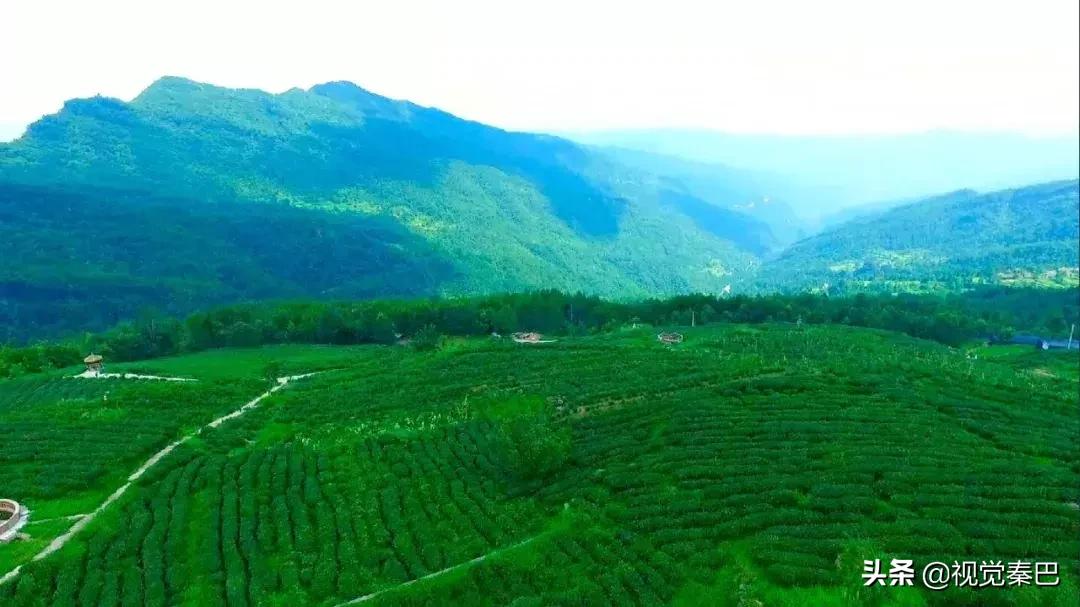 今天，我要夸夸我的通江县