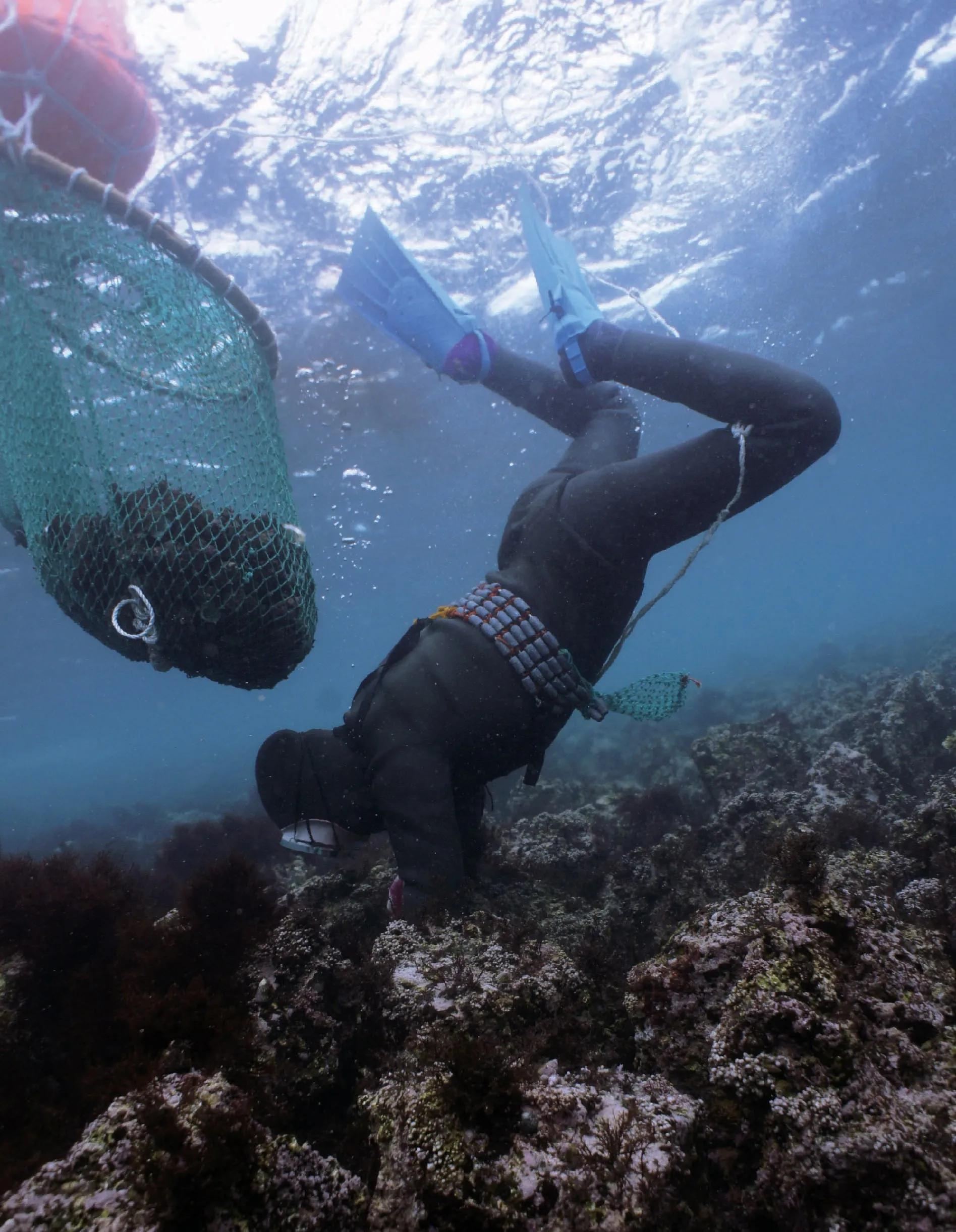 多次被外国申遗的韩国非物质文化,韩国申遗成功的中国文化有哪些