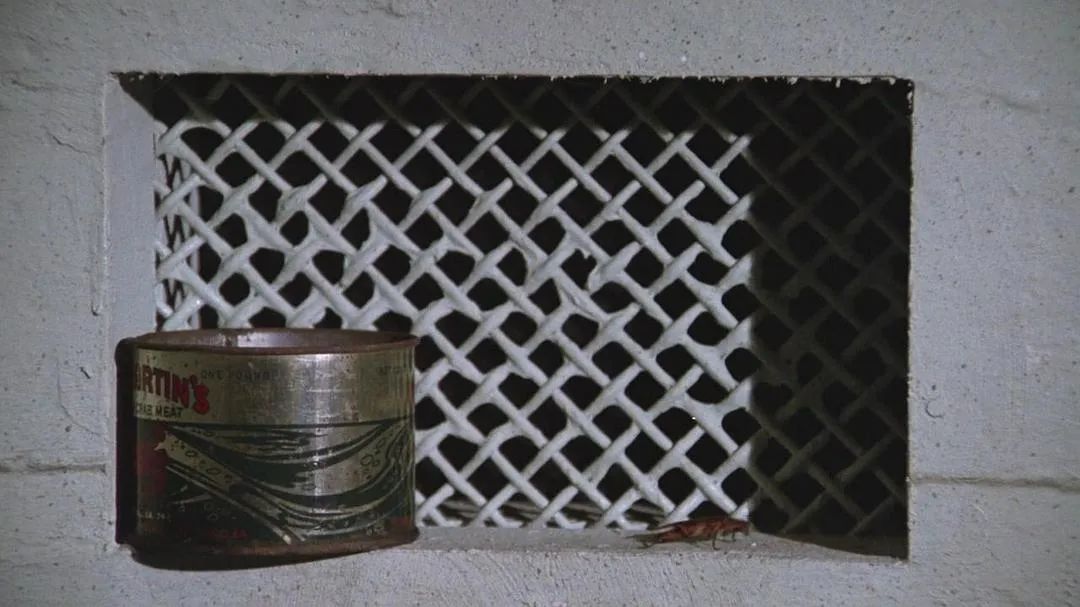 越狱为什么致敬肖申克的救赎,比肖申克的救赎还经典的越狱片