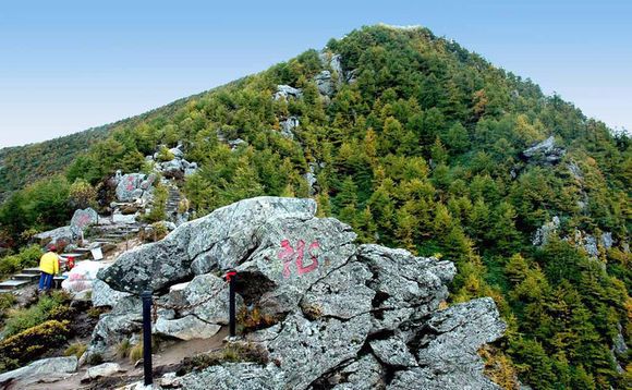 全国十大森林公园,中国十大森林公园