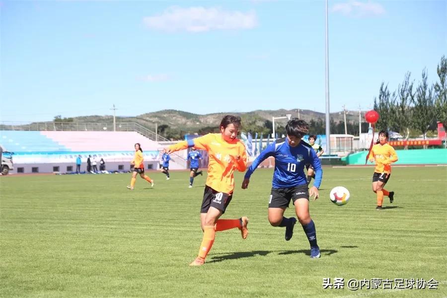 内蒙2024足球夏令营,内蒙古青少年足球夏令营队标