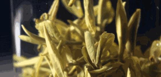 杭州出家,杭州出家需要什么条件