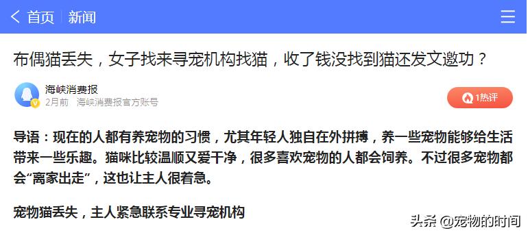 猫丢了有没有吸引猫的声音,猫丢了怎样把猫引出来