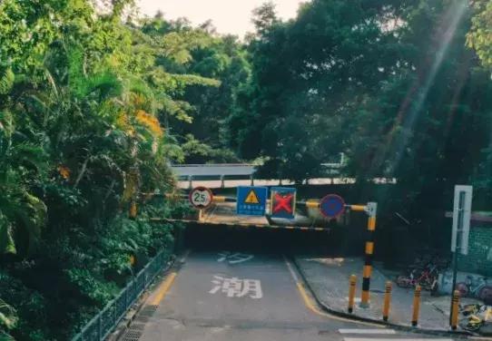 深圳潮汐车道会不会被抄牌,深圳的潮汐车道走错了怎么处罚