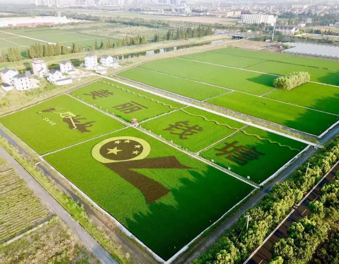 震撼!钱塘江畔出现巨型画作,有28个足球场这么大!