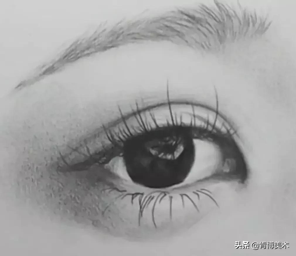 新手学素描必备的20个知识点,怎么学习画素描零基础学素描教程