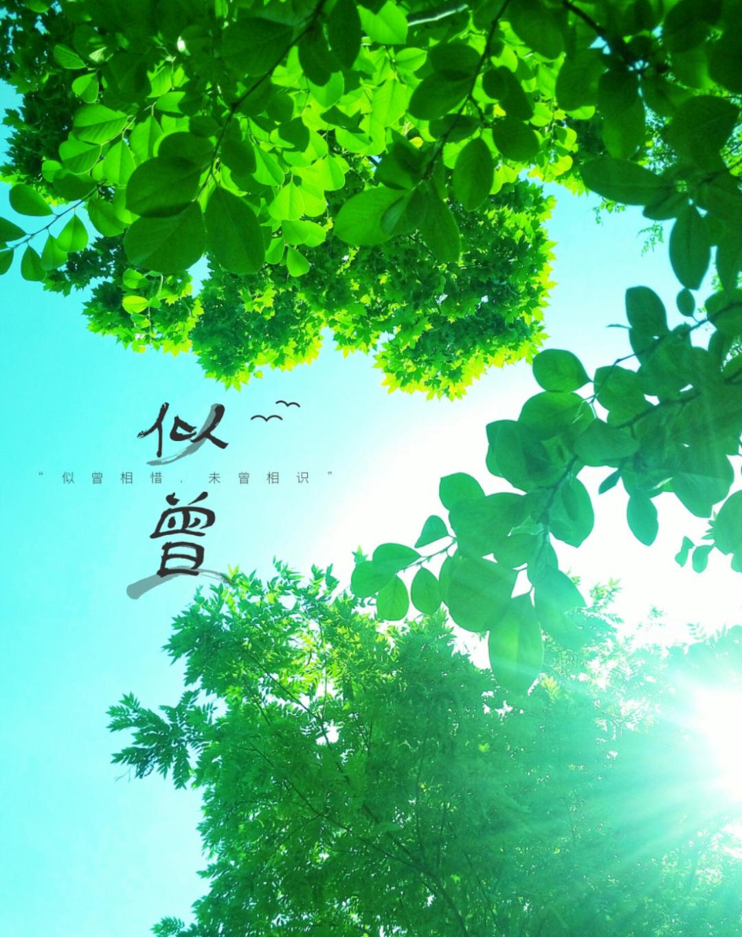 表达夏天热的诗句,古诗中描写天气很热的诗句