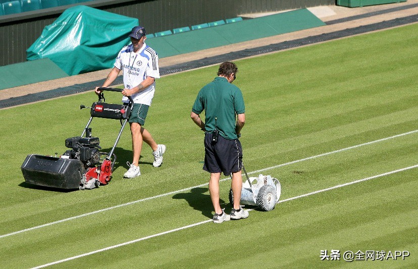 温网草地要求,温网草地怎么不全是绿的