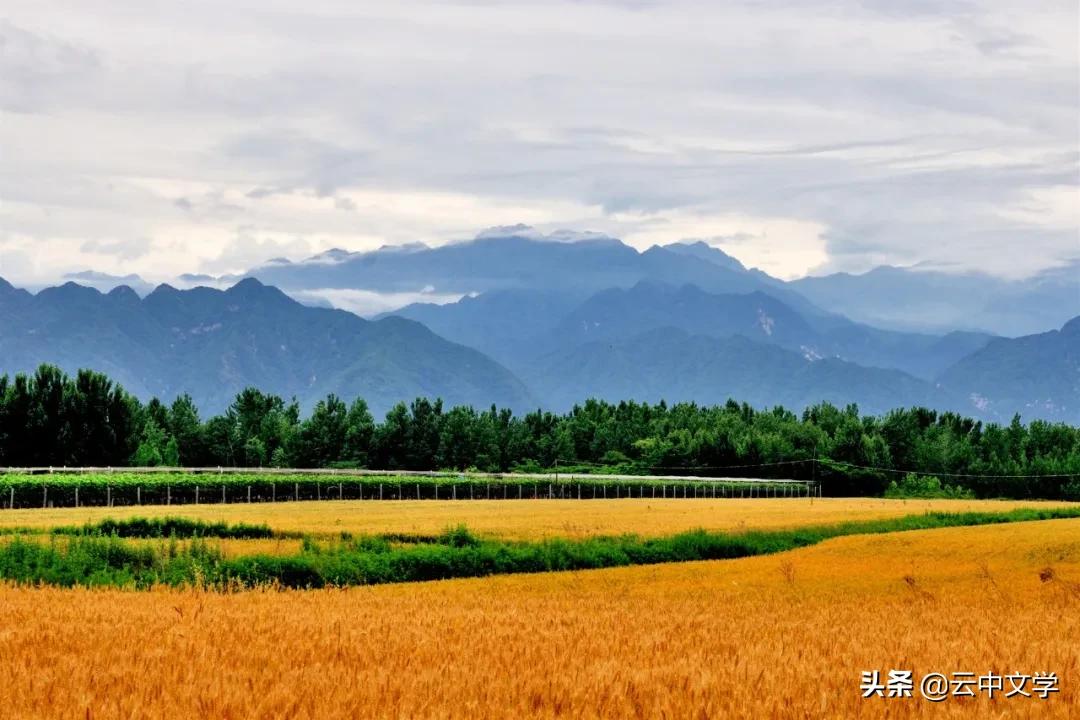 不孝有三无后为大还有两孝是什么,不孝有三无后为大是哪三