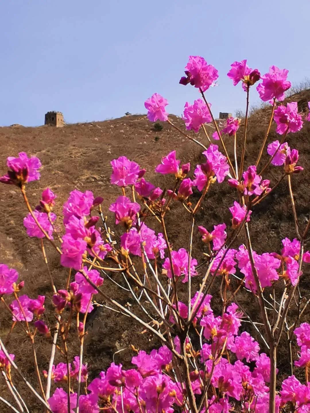 又是一年春光好完整版,又是一年春光好文明旅游