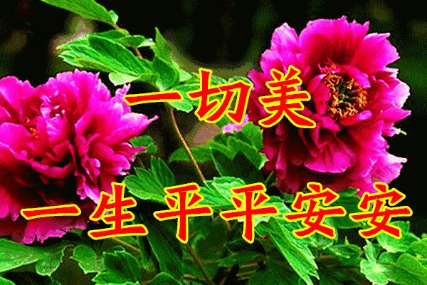 三八妇女节将至祝姐妹们节日快乐,三八妇女节提前祝女友们节日快乐