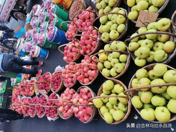 从稀罕物到大众水果——吉林地区苹果的那些往事
