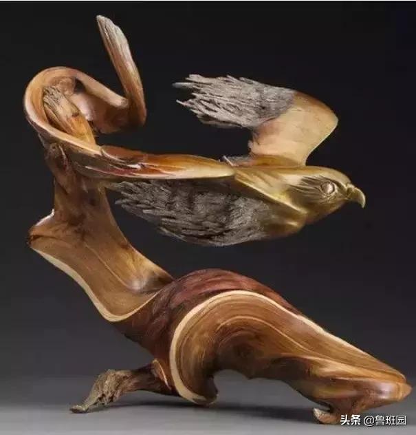 “高贵而奇异”,100多年方能成材的金*欢合**木是怎样一种存在?