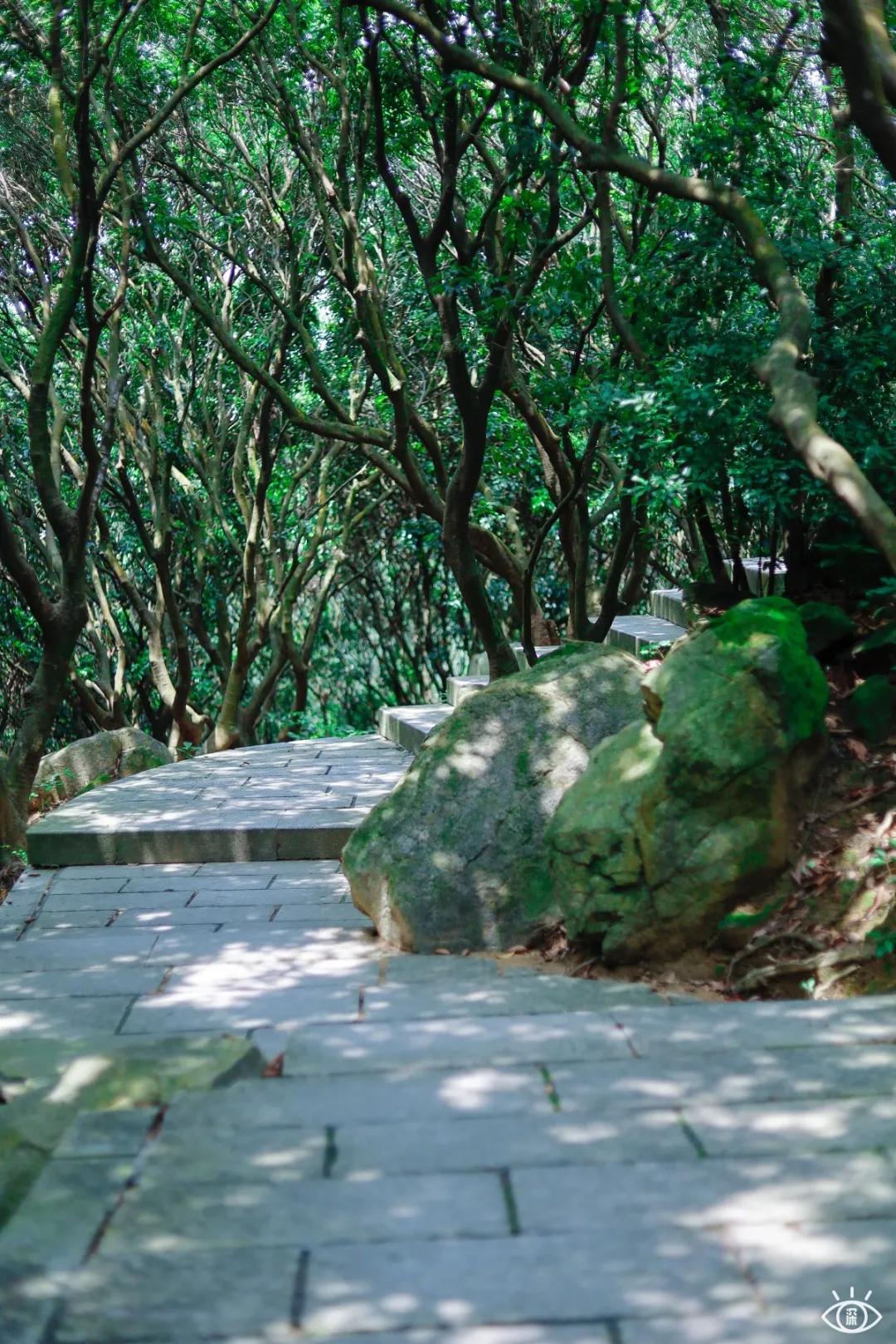 深圳宝藏公园风景图片,深圳宝藏自然游乐区