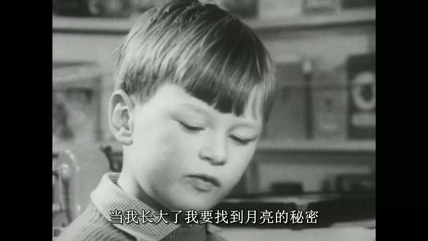 假期电影推荐排行榜前十名,假期适合儿童看的8部电影