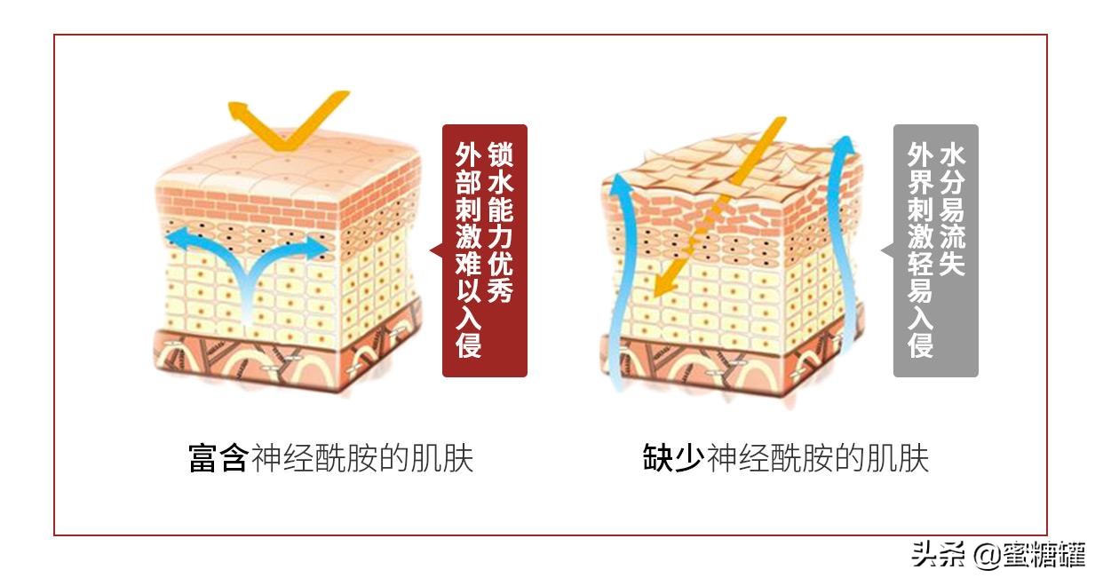 皮肤炎湿疹用药,湿疹性皮肤炎能吃什么药