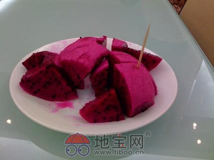 海贼王小析-记忆果实永生计划的一个重要齿轮