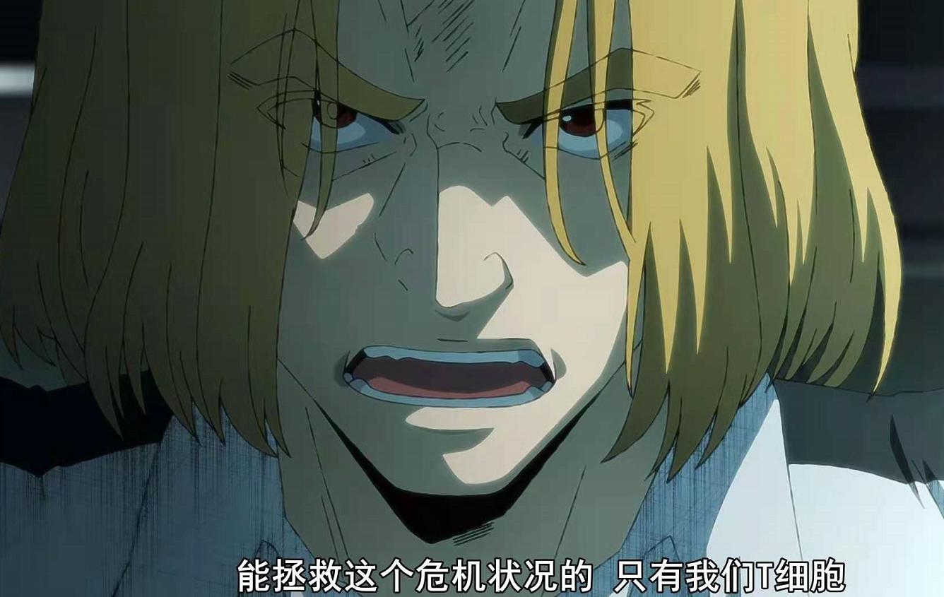 工作细胞black讲解,工作细胞black有痛风吗