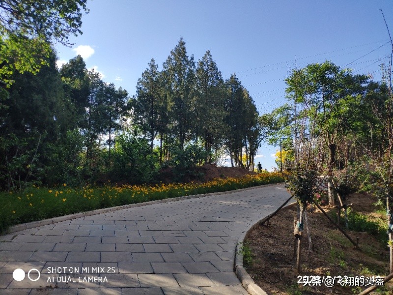 戒台寺郊野公园攻略,戒台寺郊野公园