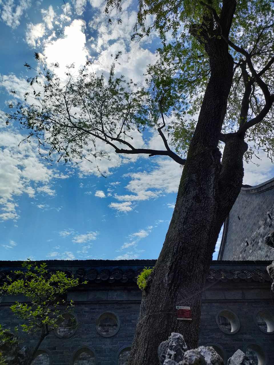 扬州,一座让人吐槽而又留恋想驻足的城市