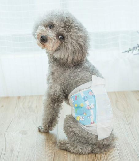 怎样防止狗狗生理期乱舔,狗狗生理期怎么能让它不叫