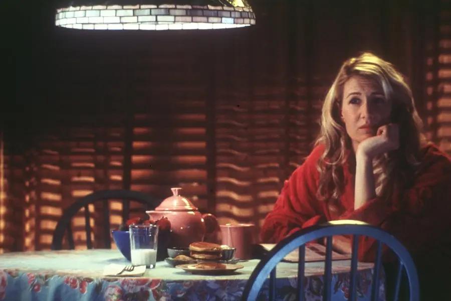 以《我是山姆》为例,谈谈现代职业女性如何化解“精神生态危机”