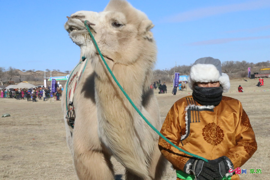 内蒙古20届冰雪那达慕,正蓝旗的那达慕大会时间