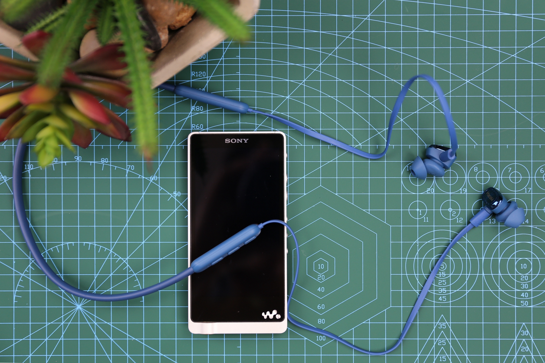 实力圈粉运动健儿,脉歌XT-80体验评测