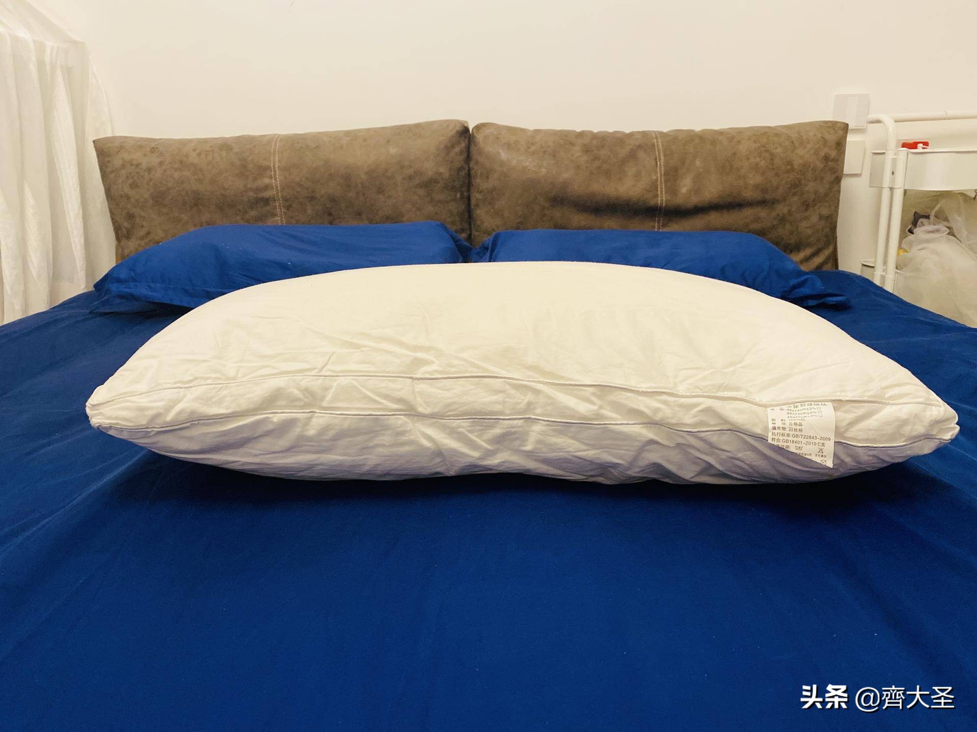 盘点所有枕头,最贵的枕头嘉唯枕头