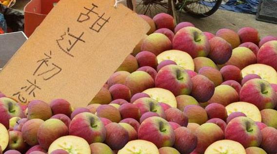 做淘宝的小技巧有哪些方法,新手小白运营淘宝工具